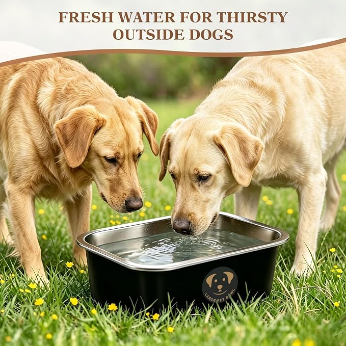 1.25 Gallons Large Stainless Steel Dog Water Bowl, High Capacity Metal Dog Food Bowls, Outdoor Dog Bowl Food and Water, X-Large, and Big Dogs & Cat, Black