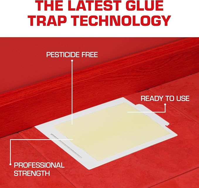Tomcat Glue Boards with Immediate Grip Glue for Mice, Cockroaches, and Insects, Ready-to-Use, 8-Pack (32 Glue Boards)