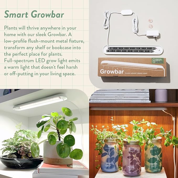 Modern Sprout Garden Jars+Smart Growbar Bundle- Self-Watering Hydroponic Herb Growing Kit with Full-Spectrum LED Grow Light, Organic Herb Seeds, Smart App, Adjustable Brightness, Gift for Mother's Day