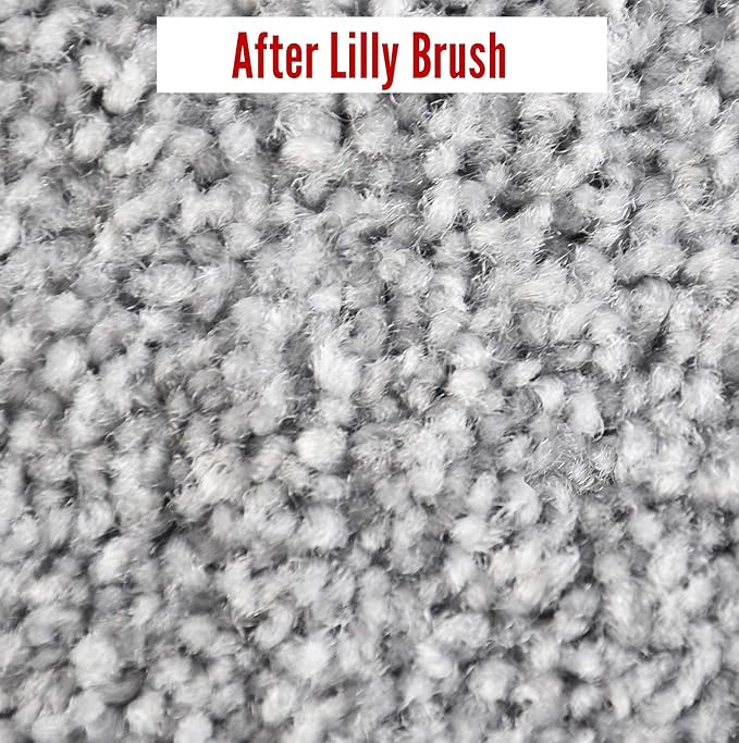 Lilly Brush Mighty Pet Hair Remover Detailer | Cat Hair Remover Carpet Brush for Pet Hair