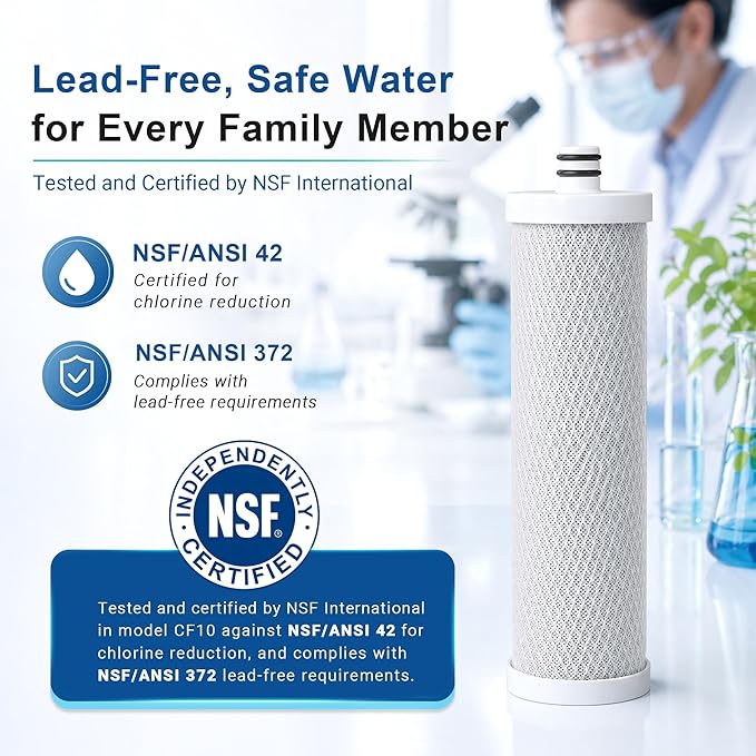 LCF Replacement Filter, Compatible with LCF-CF-01, Waterdrop Filter Replacement for WD-CTF-01 & WD-CTF-02 Systems, Replaces WD-CFF-01, 6-Stage, 𝐒𝐢𝐥𝐯𝐞𝐫 𝐈𝐨𝐧𝐬 Enhanced, 16,000 Gallons, 2-Pack