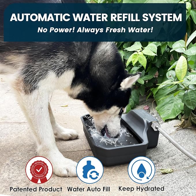 PETIMI Automatic Dog Water Dispenser, 1 Gallon Auto-Fill Dog Water Bowl Dispenser for Indoor/Outdoor, Large Water Feeder for Pets & Livestock, Fits GHT 3/4" Faucet, BPA Free, Easy to Clean, Gray