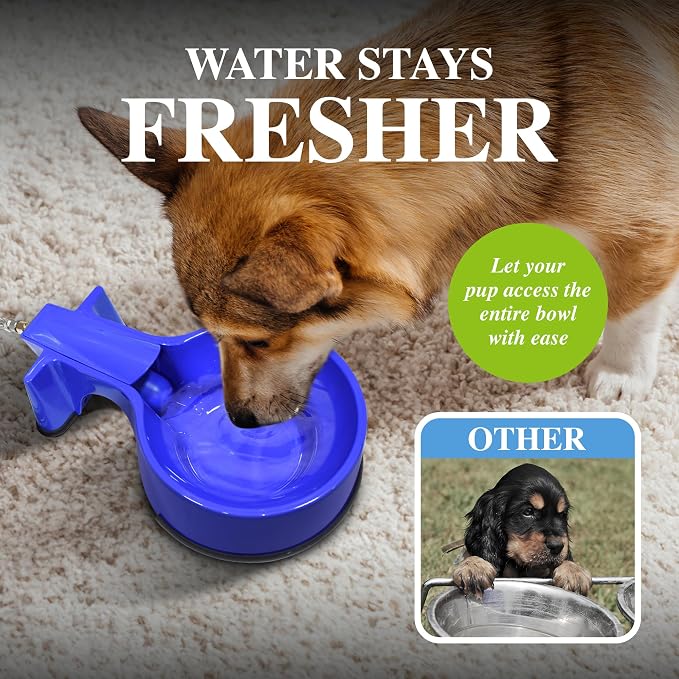 Water Bowl with 10 foot Long Stainless Steel Hose