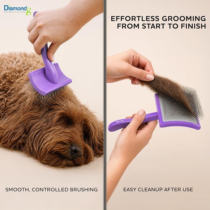 Diamondg Pet Slicker Brush for Dogs & Cats – Professional Grooming Brush for Shedding, Detangling & Coat Maintenance, Gentle Fine Wire Pins, Ergonomic Handle, Purple