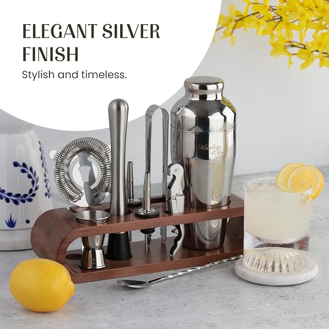 Mixology & Craft Cocktail Shaker Set with Bamboo Stand - Professional 10-Piece Bartender Kit, Complete Bar Set for Home Use with Jigger, Muddler, Strainer, Spoon, Pourers & Corkscrew (Silver)