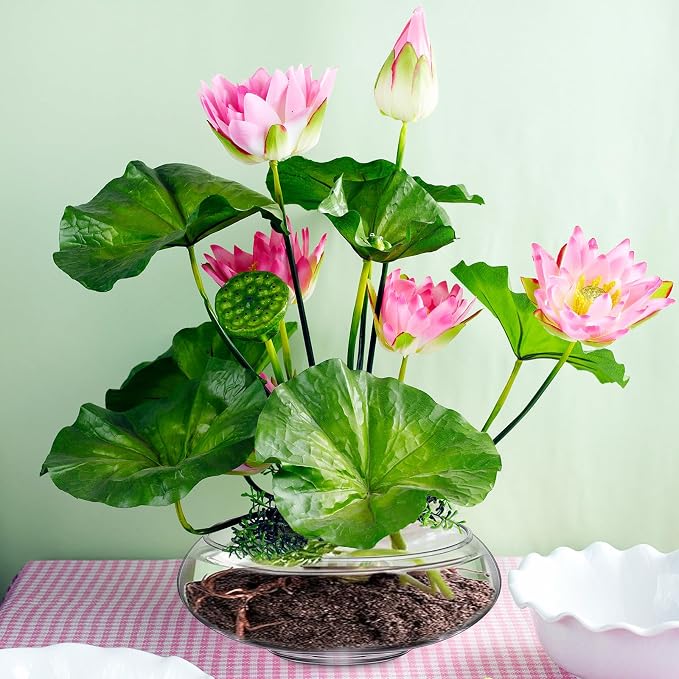 3 Pcs Hydroponic Planter Lotus Flower Pot Planter Lotus Bowl Clear Glass Fish Bowl Vase for Planting Indoor Home Decor Water Lily Narcissus Planting Water Lily (7.09in)