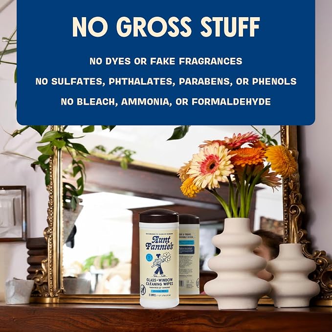Aunt Fannie's Glass & Window Cleaning Wipes, Natural Streak-Free Glass Cleaner, 35 Count (Pack of 1)