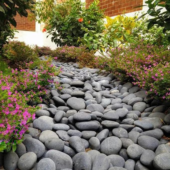 FANTIAN 10 lbs Black Pebbles for Indoor Plant, 3-4 Inch River Rocks | Natural Decorative Black Stones Rocks for Landscaping, Garden, Plants, Aquarium, Backyard, Indoor Water Fountains