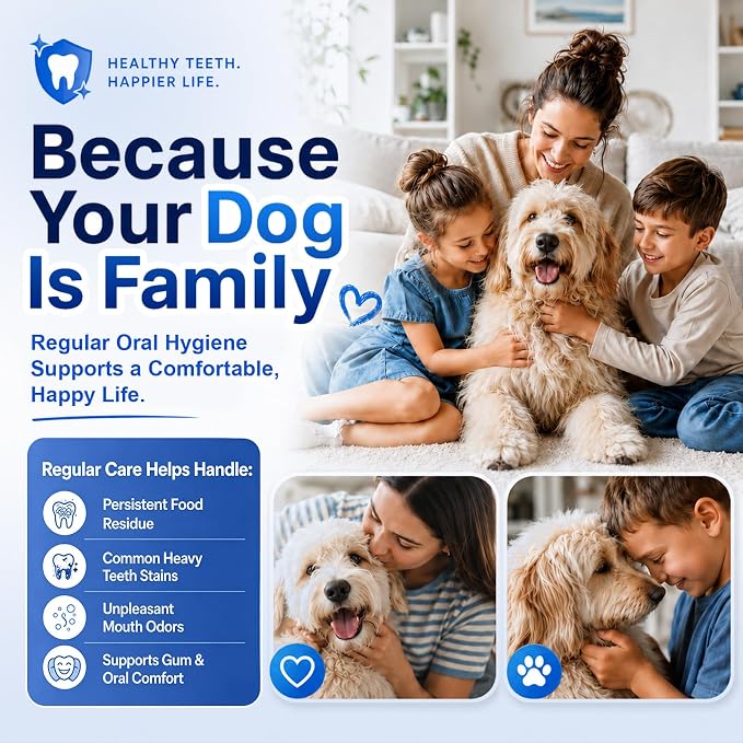 Vtiisamao Plaque Remover for Teeth, Electric Pet Teeth Cleaning Kit with LED Light & 5 Adjustable Modes, Professional Dental Tools for Tartar and Stains Removal, Suitable for Dogs and Cats