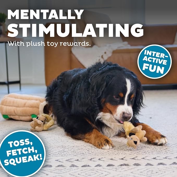 Outward Hound Hide-A-Squirrel Dog Toy – Interactive 2‑in‑1 Plush Puzzle with 6 Squeaky Removable Squirrels, X-Large