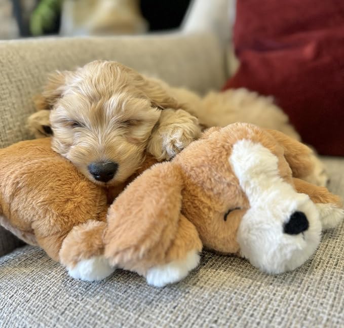 Plush Heartbeat Toy - Calming Anxiety Relief Toys for Puppies and Kittens - Heartbeat in a Soft Comforting Pet Plush for Dogs and Cats (Cream with Heart ONLY)