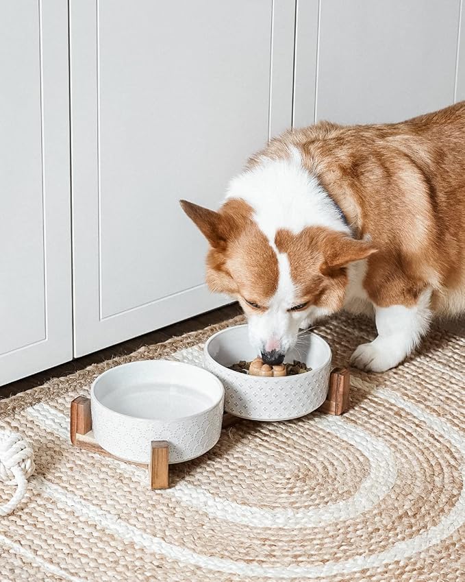 LE TAUCI Dog Bowls Ceramic for Small Medium Dogs - 3-Cup Dual Food & Water Bowl Set with Acacia Wood Stand, Non-Slip Anti-Tip Elevated Design