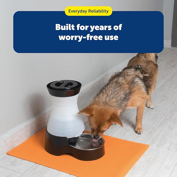 PetSafe Healthy Pet Water Station, 128 oz, Stainless Steel Bowl, Medium | Gravity-Fed Pet Water Fountain Keeps Cats or Small Dogs Hydrated, Stainless Steel Bowl Is Dishwasher Safe