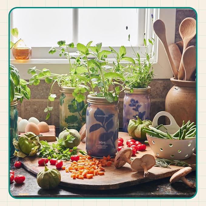 Modern Sprout Garden Jar & Herb Stripper Bundle Self-Watering Herb Grow Kit w/Recyclable Mason Jar + 3-in-1 Prep Peeler & Grater Plate - Indoor Gardening - Gift for Mother's Day (Rosemary & Parsley)