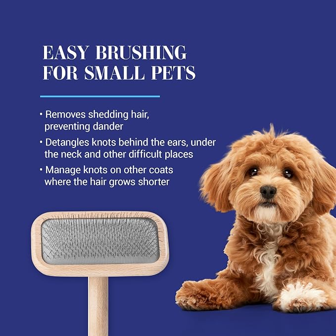 Chris Christensen Mark II Slicker Brush for Dogs, 12mm Pins, Groom Like a Pro, Handcrafted Lightweight Beechwood Ergonomic Handle, Stainless Steel Pins, A5II Small. Made in Germany.