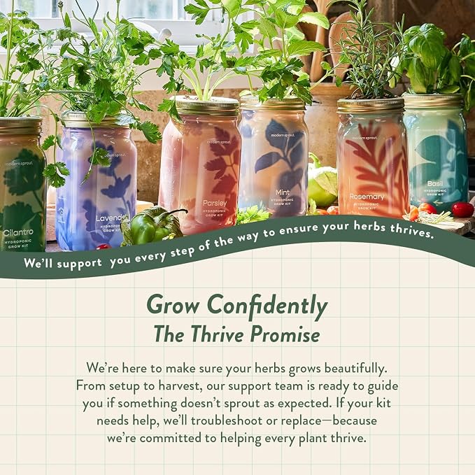 Modern Sprout Mason Garden Jar + Replant Kit - Self-Watering Hydroponics Growing System Kit w/Organic Herb Seeds - Jar Planter for Indoor Herb Garden - Seed Starter - Gift for Mother's Day - Cilantro