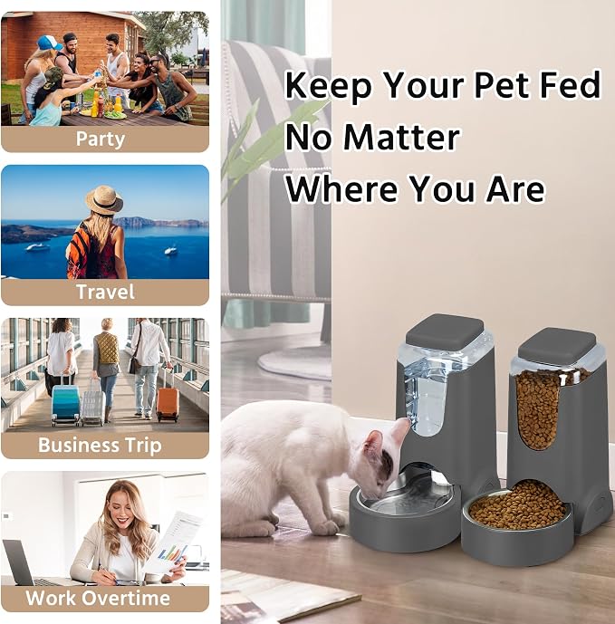 2 Pack Automatic Cat Feeder and Gravity Stainless Steel Water Dispenser, Dog Food Feeder and Waterer Set for Small Medium Puppy Kitten Pets (1 Gallon x 2, Gray)