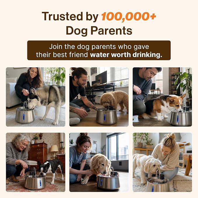 Selene Wireless Doggy Fountain, 4L (1.1 Gal) Cordless Dog Water Fountain for Dogs Inside, Stainless Steel Pet Fountain, 4-Layer Filtration, 30-Day Battery