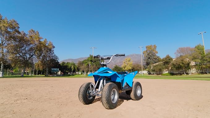 Razor Dirt Quad Electric 4-Wheeler Ride-On for Kids Ages 8+, 120 lb Max Weight – 350W Motor, Up to 8 Mph, 40-Min Run Time on High Speed, Twist-Grip Throttle, Steel Wheels with 12” Pneumatic Tires