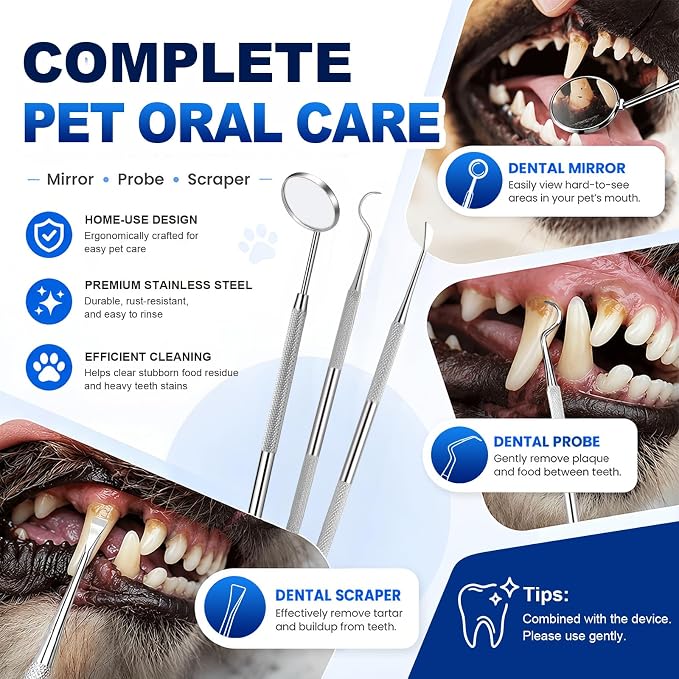 Vtiisamao Plaque Remover for Teeth, Electric Pet Teeth Cleaning Kit with LED Light & 5 Adjustable Modes, Professional Dental Tools for Tartar and Stains Removal, Suitable for Dogs and Cats