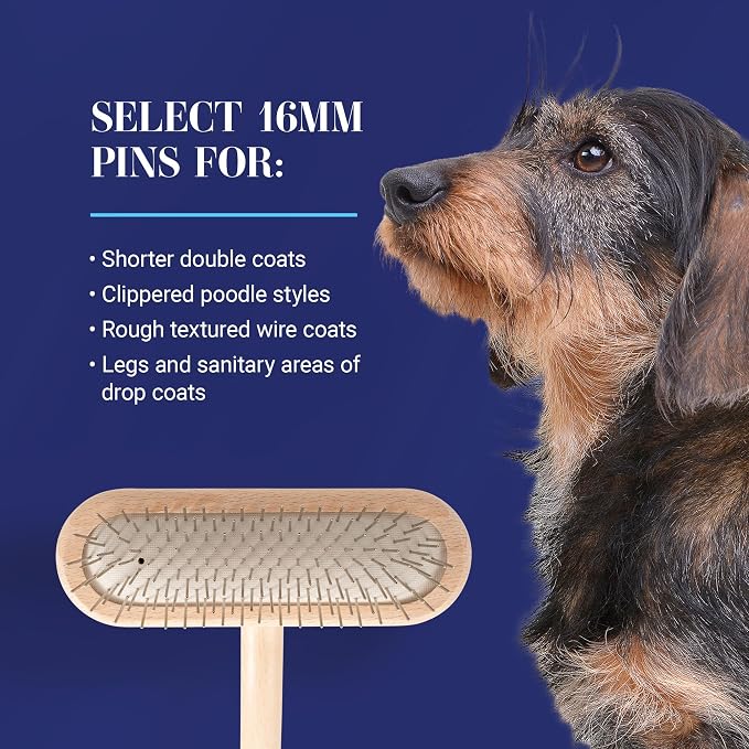 Chris Christensen Mini Grooming Brush - Comfortable High-Grade Stainless-Steel Rounded and Polished Pins - Removes Long & Loose Hair from Dogs & Cats