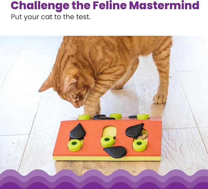 Catstages Nina Ottosson Melon Madness Puzzle & Play Cat Puzzle Feeder – Interactive Treat Game for Indoor Cats, Level 2 Slow Feeder Enrichment Toy, 10.5" x 10.6"