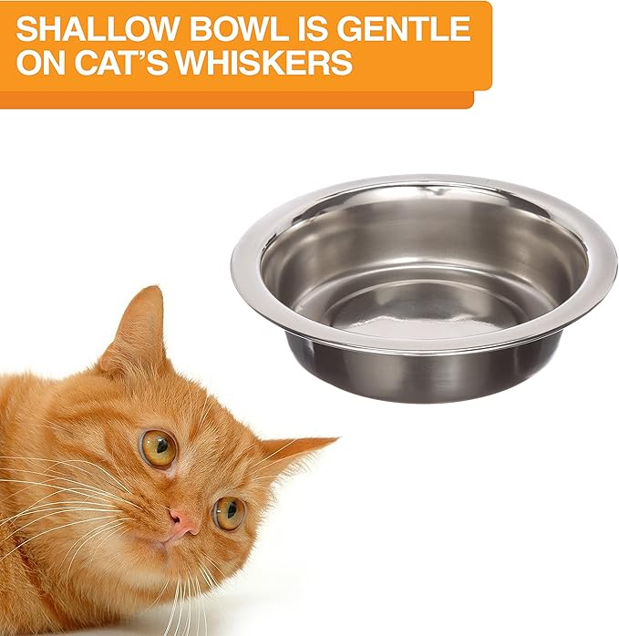 Neater Pet Brands Neater Feeder Deluxe Mess Proof Cat Bowls Elevated, Made in USA, No Spill Raised Bowls for Indoor Cats, Stainless Steel Food and Water Bowl Set, Pet Dish Feeding Station, Black