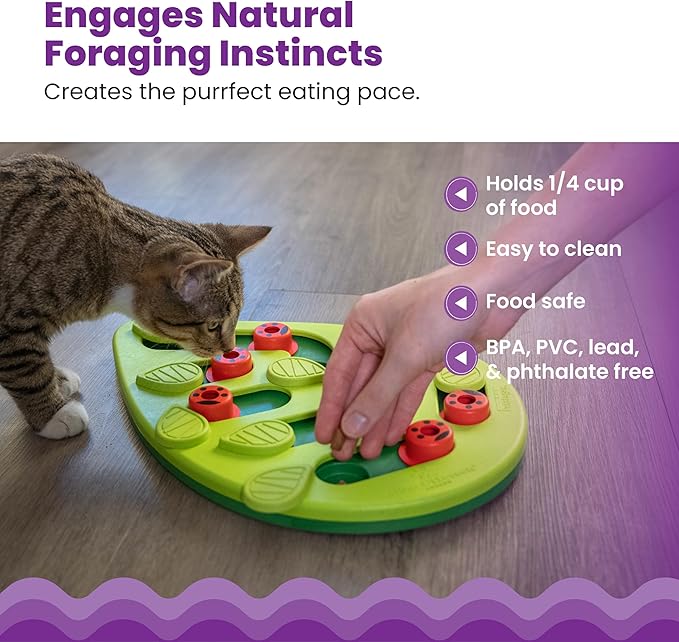 Catstages Nina Ottosson Buggin’ Out Puzzle & Play Cat Puzzle Feeder – Interactive Treat Game for Indoor Cats, Level 2 Slow Feeder Enrichment Toy, 13.9" x 11.5"