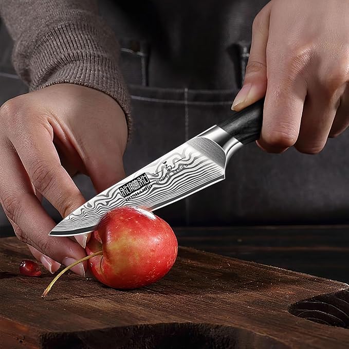 HOSHANHO Paring Knife 3.75 Inch, Powder Steel Forged Small Kitchen Knife | Razor Sharp Fruit Knife for Peeling & Coring, Japanese Peeling Knife with Ergonomic Pakkawood Handle, Thoughtful Gifts