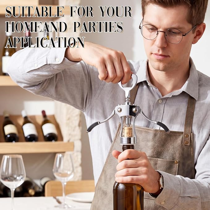 Hushee 10 Pcs Wing Corkscrew Opener, Zinc Alloy Heavy Duty Multifunctional Wine Bottle Opener for Restaurant, Bar, Waiters, Ideal for Wedding Shower Party Favors Gifts (Silicone,Silver)