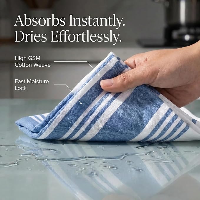 Urban Villa Kitchen Towels Cotton Dish Towels 20”x30” (Set of 6) Blue Wht