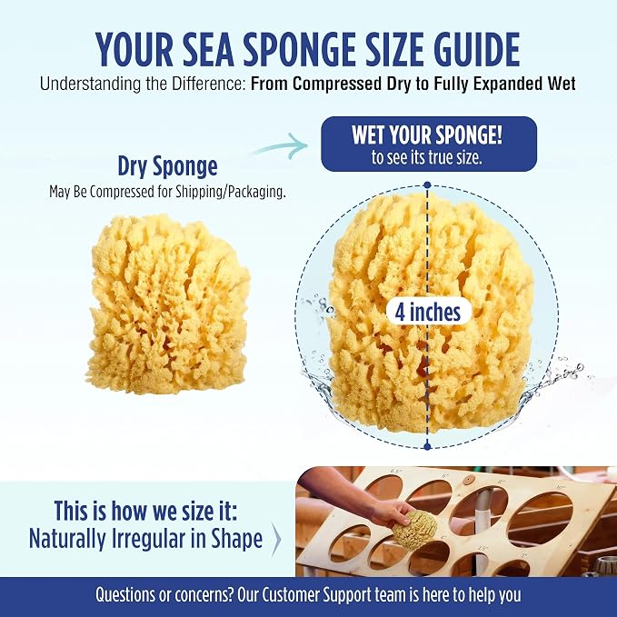 Baby Buddy Absorbent Natural Bath Sponge, Ultra Soft Premium Sea Wool Sponge, Soft On Baby's Tender Skin, Bath Accessories Baby and Kids, Infant Bath, Biodegradable, Hypoallergenic, 4 Pack, 4.5 in