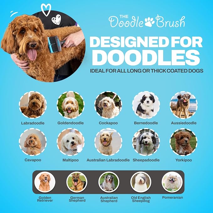 The Doodle Brush, Slicker Brush for Dogs, Dual Head Dog Hair Brushes, Flexible Head Slicker for Dogs, Poodle, Labradoodle, Sheepadoodle, Tangle-Free Grooming, Healthy & Shiny Coat Pet Brushes