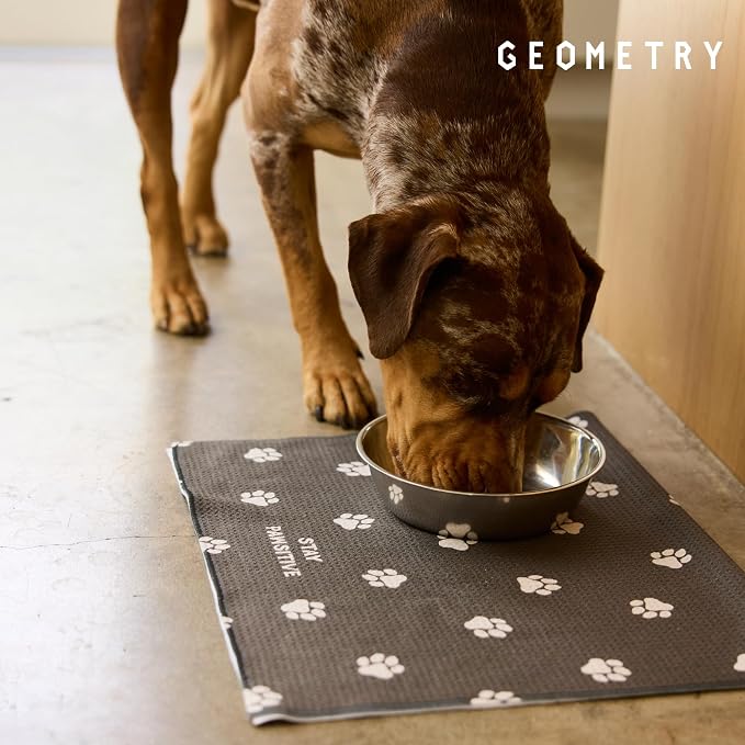 GEOMETRY Stay Pawsitive