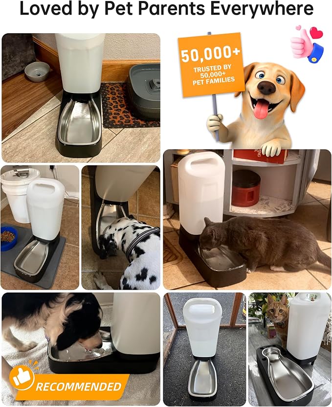 Automatic Dog Water Bowl Dispenser with Filter - 2.4 Gal Large Gravity Auto Pet Water Feeder Waterer with Stainless Steel Bowl & Easy Carry Handle for Large Dog Cat Multi Pet Use
