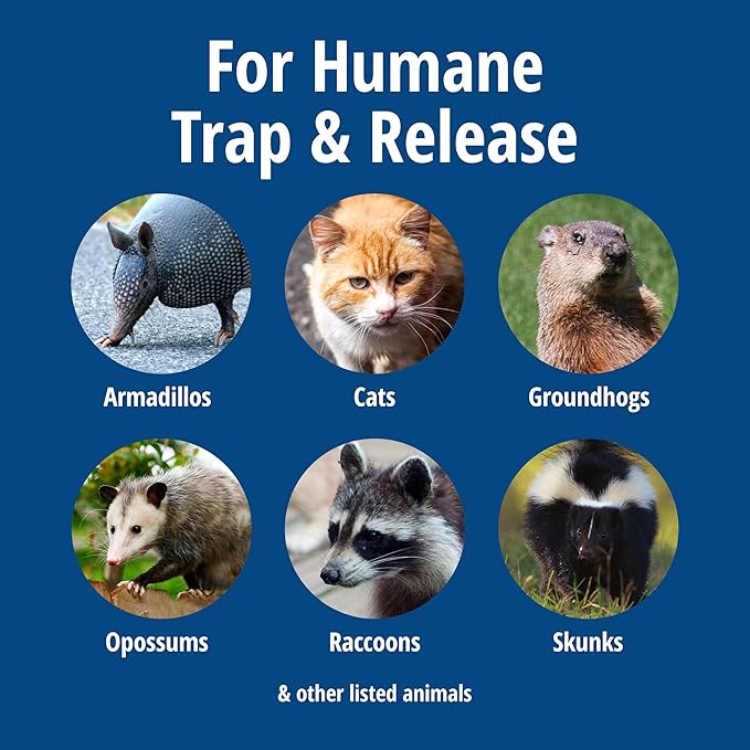 Havahart Large 1-Door Live Animal Trap for Raccoons, Cats, Bobcats, Beavers, Skunks - Heavy Duty Humane Catch and Release Cage Trap for Outdoor Pest Control, 1079SR
