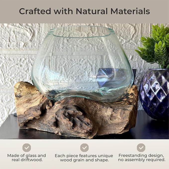 Planter Terrarium with Molten Glass Bowl on Driftwood, 7.5 Inch | Natural Base Varies by Piece, 3.5 Inch Opening, 4 Inch Center Depth, Freestanding for Shelves or Desks