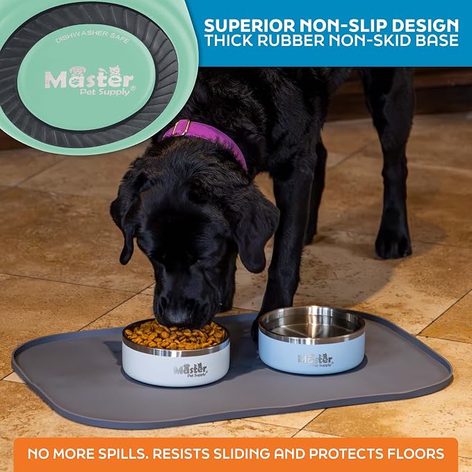 Master Pet Supply Stainless Steel Dog Bowls - 25 oz, Heavy Duty - Pistachio, Double Wall Extra-Thick Insulated, Non-Slip Pet Water Bowl for Dogs, Cats & Pets, Anti Rust Metal, Dish Washer Safe