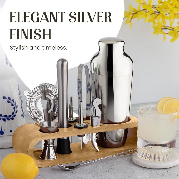 Mixology & Craft Cocktail Shaker Set with Bamboo Stand - Professional10-Piece Bartender Kit, Complete Bar Set for Home Use with Jigger, Muddler, Strainer, Spoon, Pourers & Corkscrew (Silver)