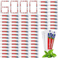 6000 Pcs Mini Toothpaste Bulk Regular Clean Mint Toothpaste for Bad Breath, Helps Freshens Breath, Whitens Teeth Travel Size 0.18oz for Home Hotel Office School Camping