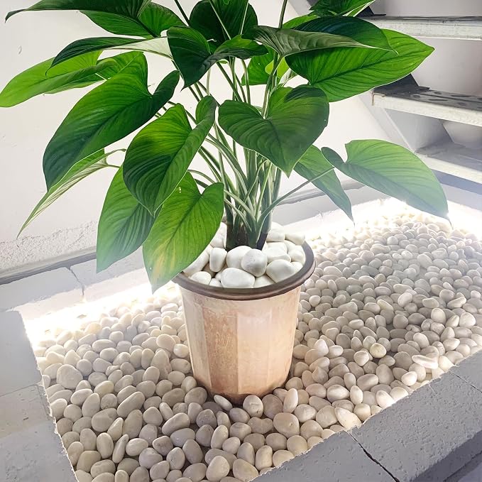 FANTIAN 20 lbs White Pebbles for Landscaping, River Rocks for Plants Indoor | White Landscape Rocks, Decorative Stones for Planters Outdoor Garden Backyard Aquarium Vase Filler and Bird Bath