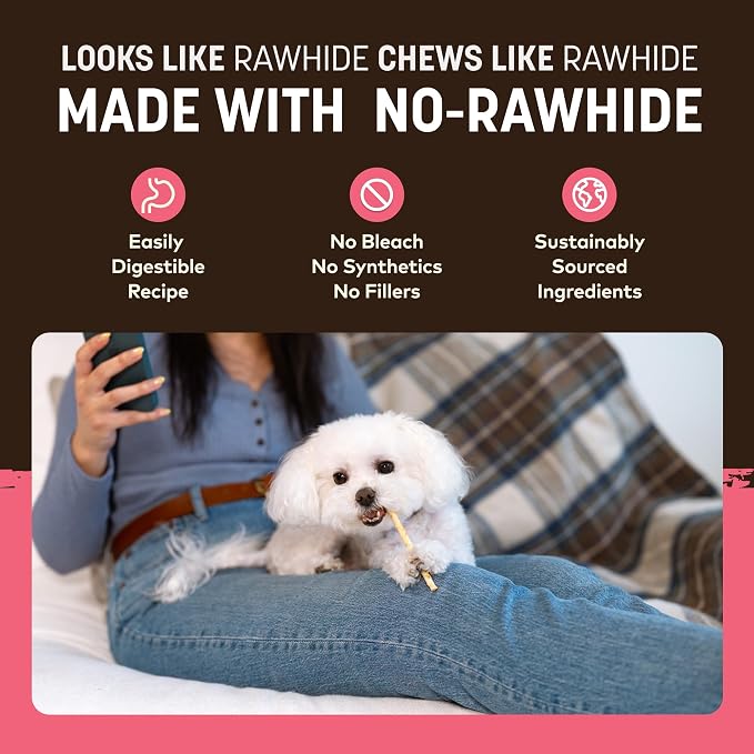 Earth Animal No Hide Stix - Long Lasting Rawhide Free Small Dog Chews Sticks, Salmon - 20 Count Value Pack