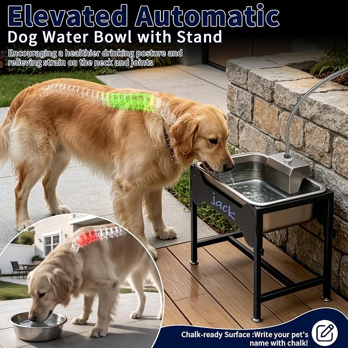 BWOGUE 3 Gal Automatic Dog Water Dispenser, Elevated Outdoor Bowl for Dogs | Automatic Water Dispenser for Dogs, Stainless Steel Pet Waterer, 9/11/13/15 in Stand, Float Valve, Big Dogs Pets Livestock