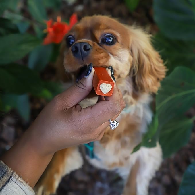 Ark Naturals Protection+ Brushless Toothpaste Chews - Small Breeds (20 ct) | Vet Formulated Dog Dental Chew with Toothpaste Center - Freshens Breath and Prevents Plaque & Tartar