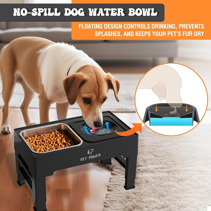 Elevated Dog Bowls, Raised Dog Bowl Stand with 4 Adjustable Heights, Stainless Steel Food Bowl & No-Spill Water Bowl – Dog Bowls Elevated for Small, Medium & Large Dogs