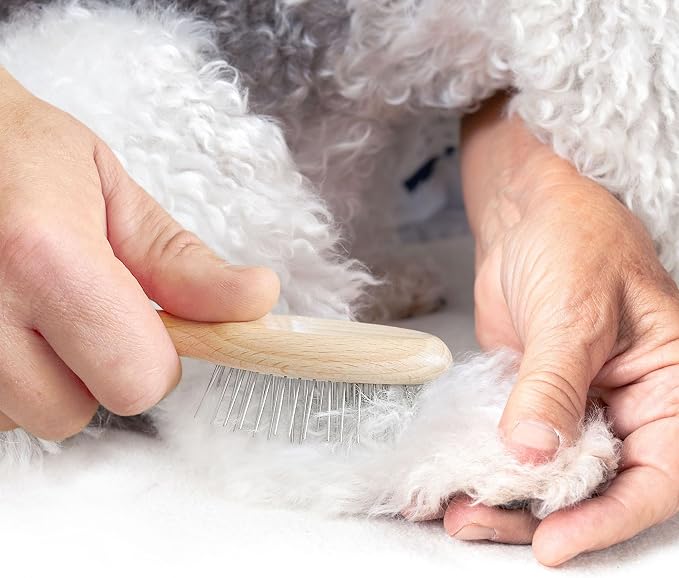 Chris Christensen Dog Brush, 5.75" x 1.25" Little Wonder Pin Brush (20mm), Original Series, Groom Like a Professional, Stainless Steel Pins, Lightweight Beech Wood Body, Ground and Polished Tips