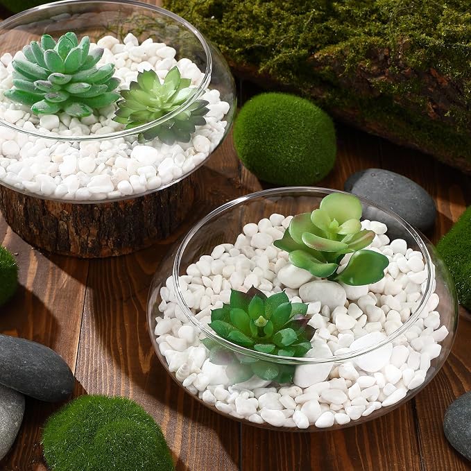 3 Pcs Hydroponic Planter Lotus Flower Pot Planter Lotus Bowl Clear Glass Fish Bowl Vase for Planting Indoor Home Decor Water Lily Narcissus Planting Water Lily (9.84in)