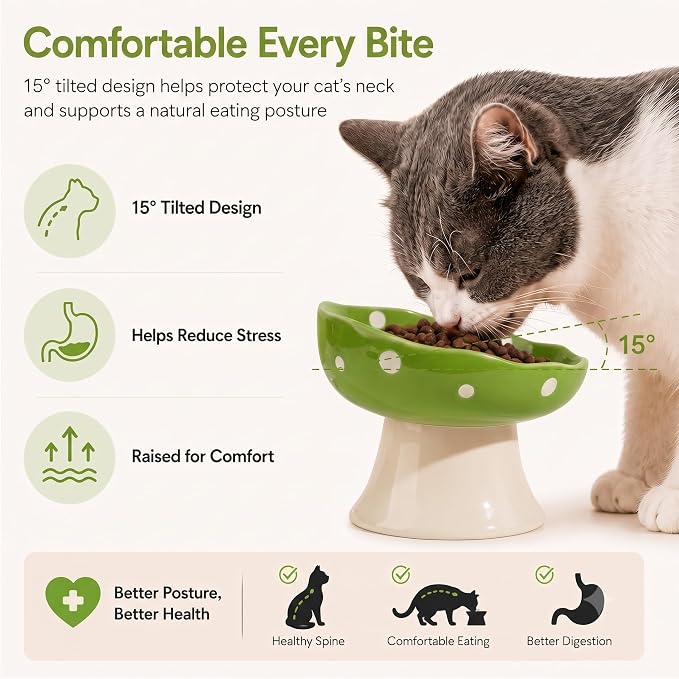 Green Mushroom Cat Bowl, Elevated Ceramic Bowl for Cats | Elevated, Ceramic, Whisker Friendly, Wide Opening, Anti Vomiting