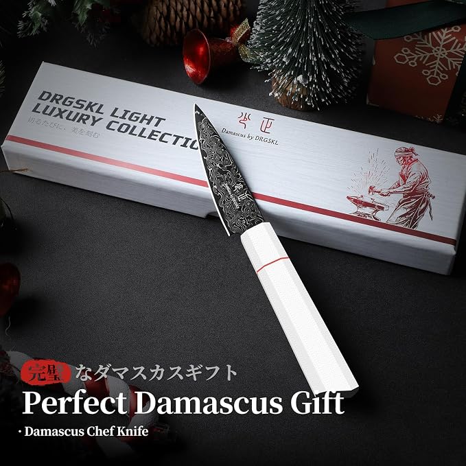 DRGSKL Damascus Fruit Knife 3.5 inch - VG10 Paring Knife with G10 Handle | Japanese VG10 Core, Black Anti-corrosion Coating, Damascus Blade, G10 Handle, Gift Box, Wet Edge Grinding Technology