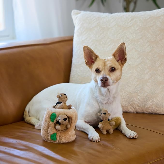 Outward Hound Hide-A-Squirrel Dog Toy – Interactive 2‑in‑1 Plush Puzzle with 3 Squeaky Removable Squirrels, Small